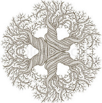 Bild "Baum.jpg"